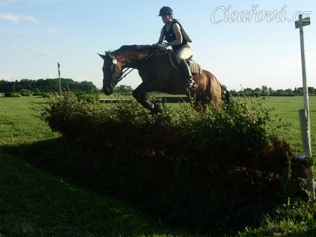 Trénink terénních skoků, skok přes proutěnku s příkopem za ní