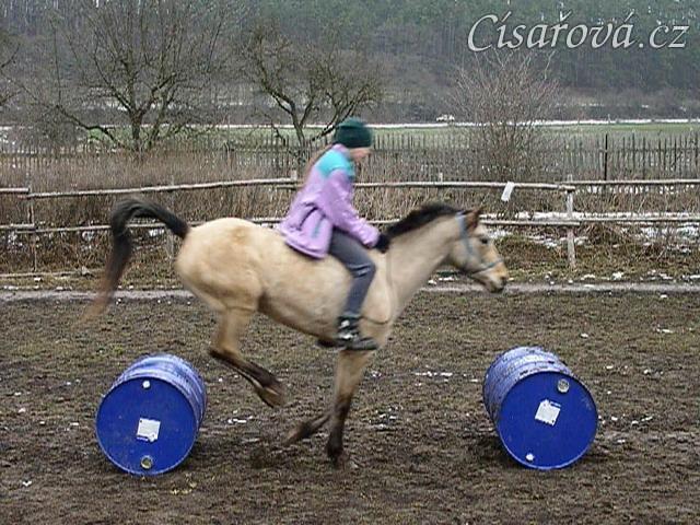 Parellistění "ze sedla" bez sedla a řízení