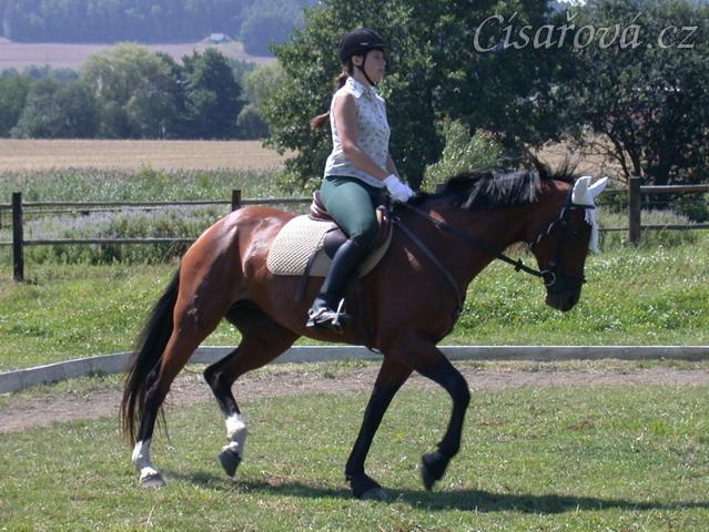 Závody v Korkyni, drezura Z1