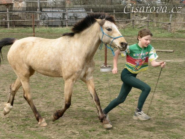 Parellistění ve volnosti