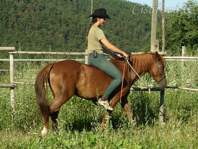 Janek poprvé jde pod jezdcem po týdnu práce ze země.