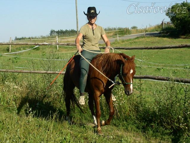 Janek poprvé jde pod jezdcem po týdnu práce ze země.