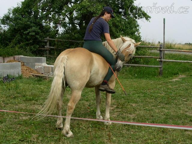 Vilibald ohybá hlavu.