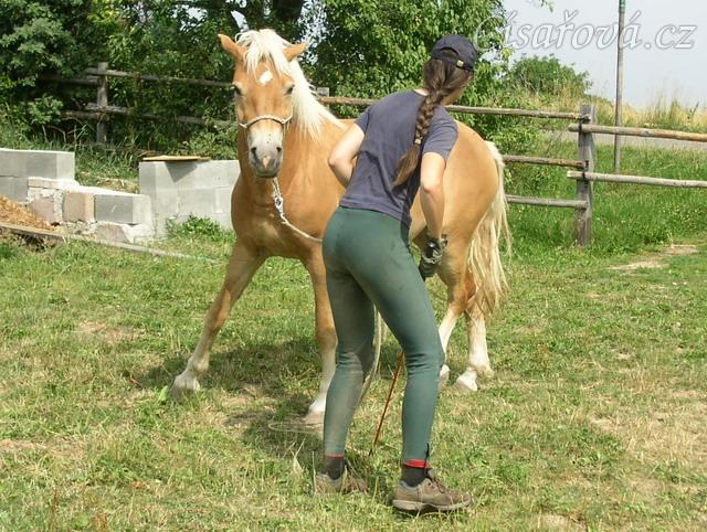 Bela při práci ze země: řídící hra, obrat okolo předku.