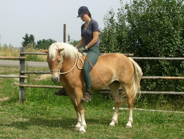 Bela s jezdcem.
