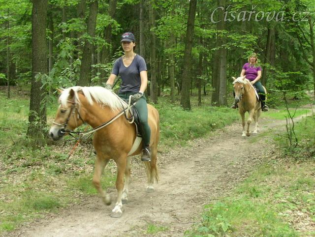 Bela na své druhé vyjížďce s jezdcem, Vilibald jí dělá doprovod.