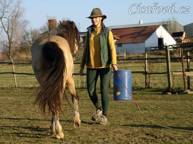 Ustupování ve volnosti