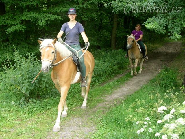 Bela na své druhé vyjížďce s jezdcem, Vilibald jí dělá doprovod.