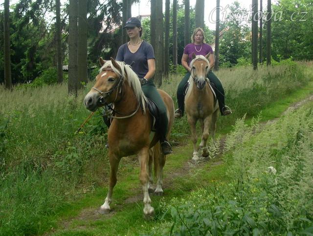 Bela na své druhé vyjížďce s jezdcem: "Někde tam je bubák!!!"