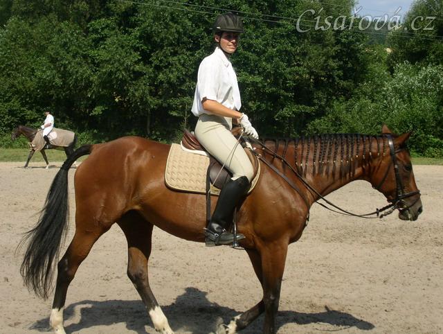 Opracovávání před drezurní zkouškou: uvolnění koně.
