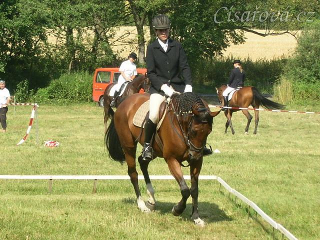 Drezurní zkouška: klus