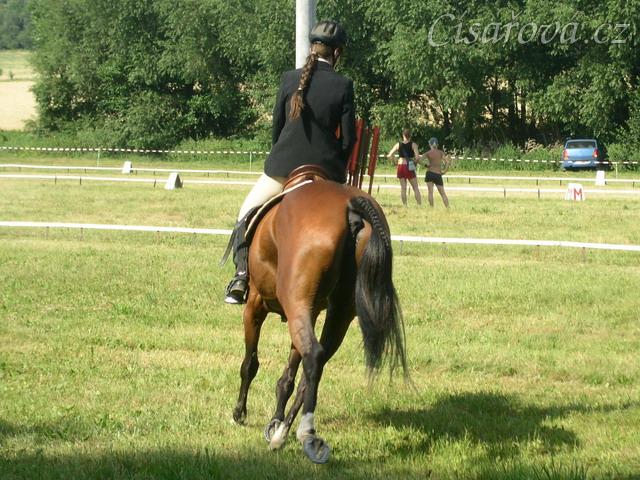 Drezurní zkouška: malý kruh