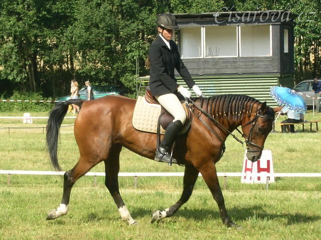 Drezurní zkouška: malý kruh