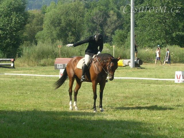 Drezurní zkouška: závěrečný pozdrav