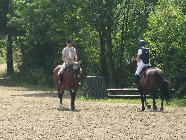 Opracovávání před parkurem