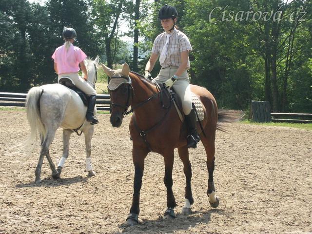 Opracovávání pčed parkurem