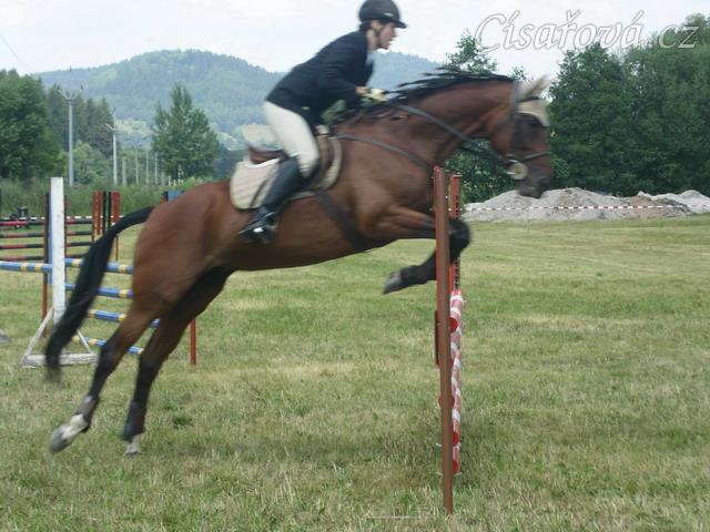 Parkur stupně Z poslední den všestrannosti