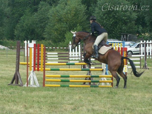 Parkur stupně Z poslední den všestrannosti