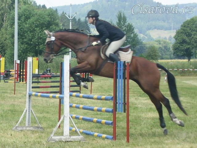 Parkur stupně Z poslední den všestrannosti