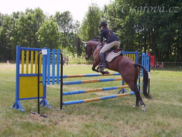 Parkur stupně Z poslední den všestrannosti