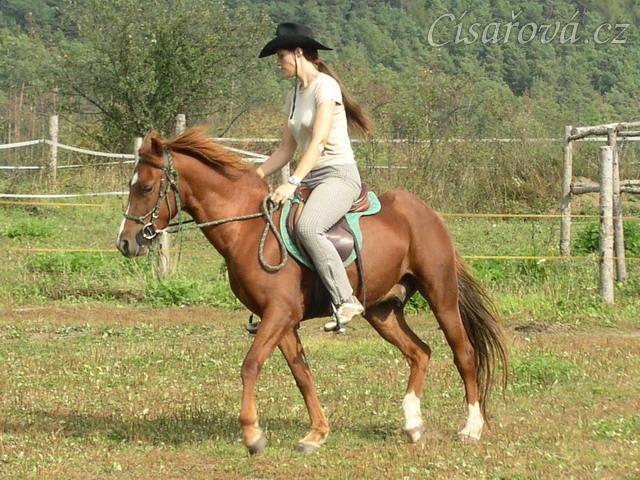 Klus na jízdárně - malý kruh