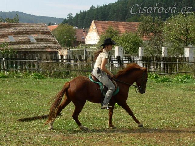 Cval na jízdárně - velký kruh