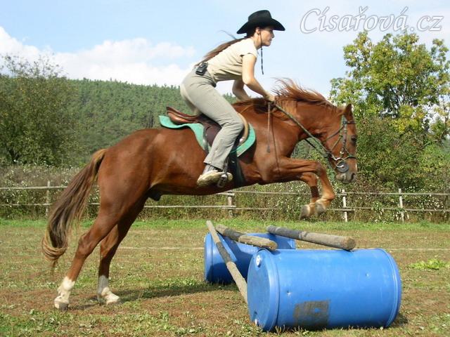 Skákání skokové řady - oxer. Už třetí skokovou hodinu skáče jako "profík" :-)
