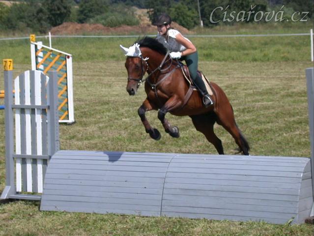 Závody v Korkyni, parkur