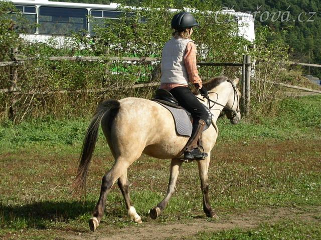 Tereza a Greisy: klus