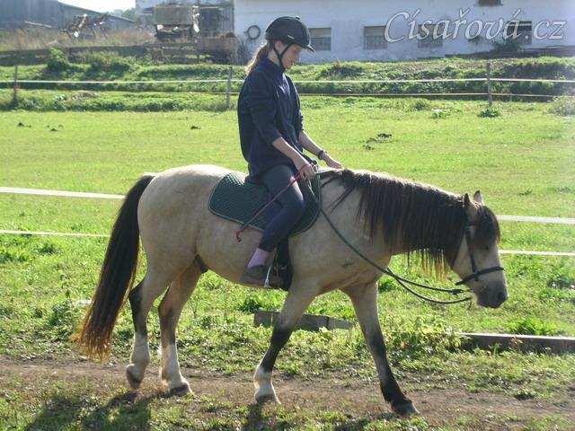 Radka a galen: uvolňování koně v kroku na dlouhé otěži