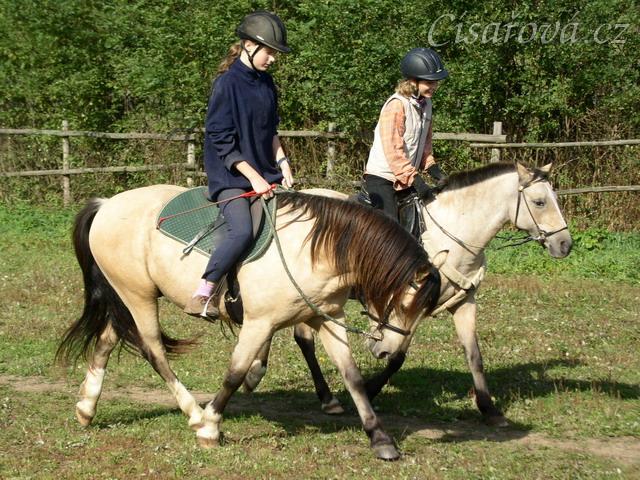 Společné ježdění na jízdárně