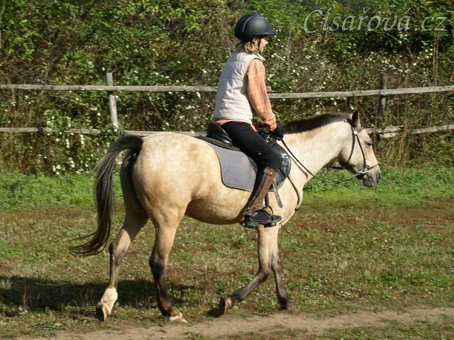 Tereza a Greisy: klus