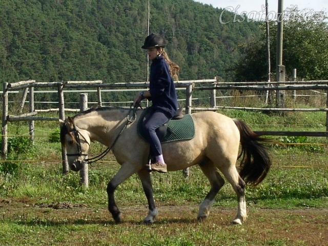 Radka a galen: uvolňování koně v klusu na dlouhé otěži