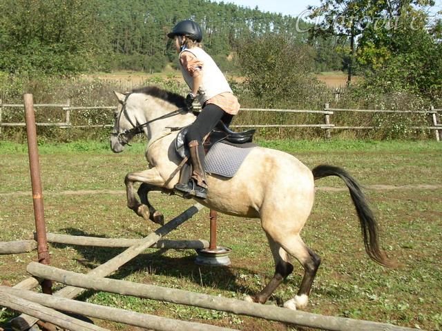 Tereza a Greisy: menší skoky už zvládají bez držení se sedla