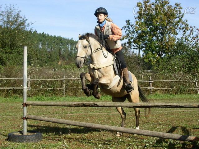 Tereza a Greisy: menší skoky už zvládají bez držení se sedla