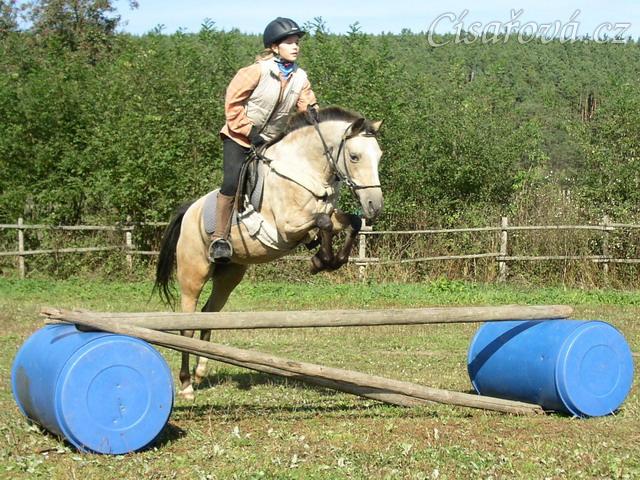 Tereza a Greisy: skoky přes větší překážky také nejsou problém, jen se jezdkyně jednou rukou ještě drží sedla.