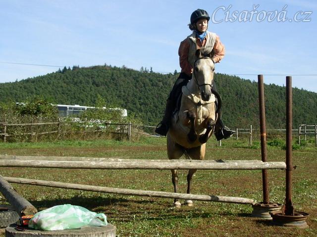 Tereza a Greisy: skoky přes větší překážky také nejsou problém, jen se jezdkyně jednou rukou ještě drží sedla.