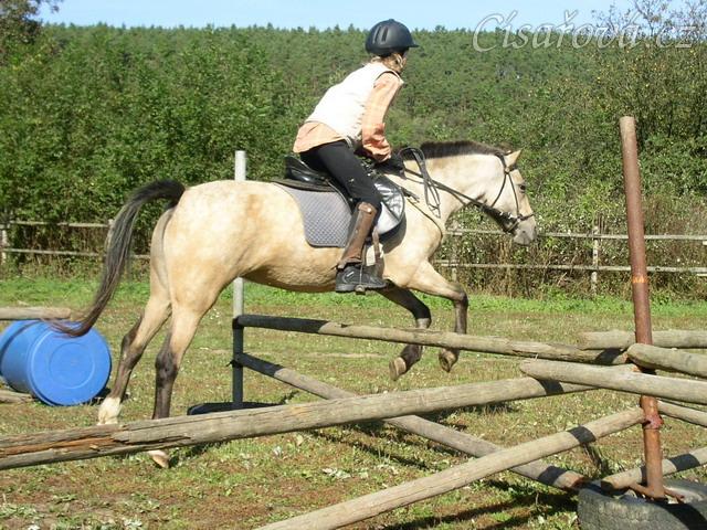 Tereza a Greisy: i větší skoky začíná Tereza skákat bez držení se sedla