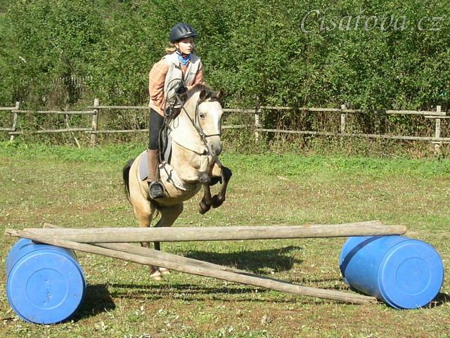 Tereza a Greisy: skoky přes větší překážky také nejsou problém, jen se jezdkyně jednou rukou ještě drží sedla.