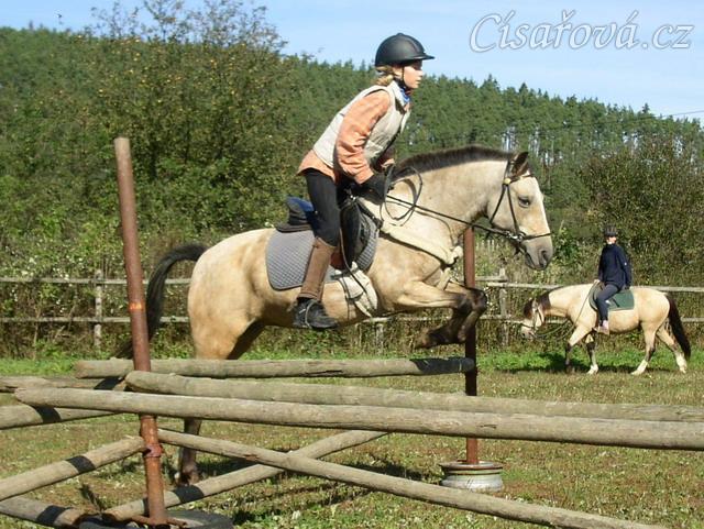Tereza a Greisy: i větší skoky začíná Tereza skákat bez držení se sedla