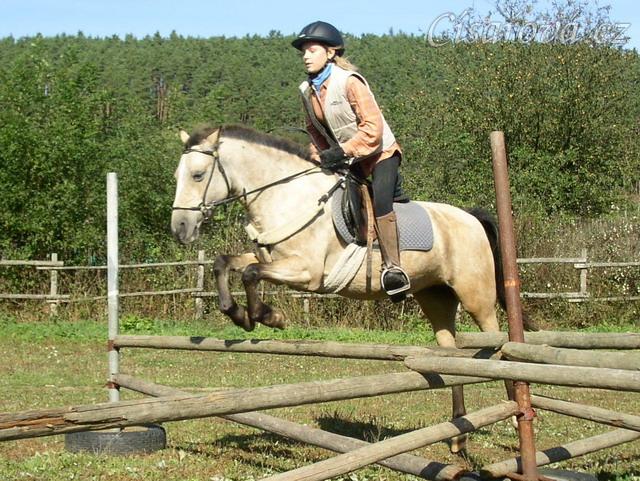 Tereza a Greisy: i větší skoky začíná Tereza skákat bez držení se sedla