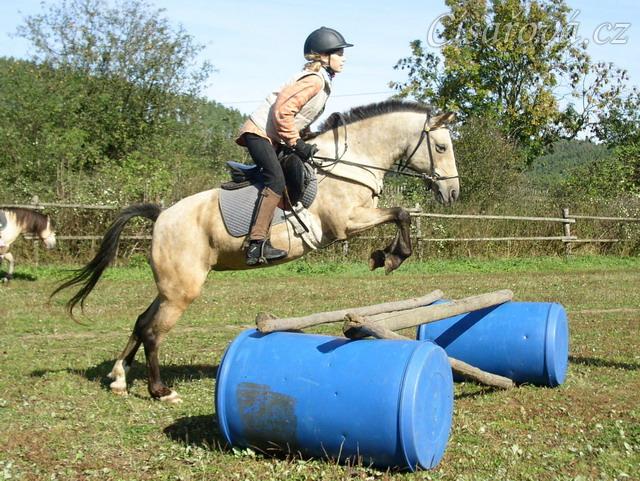 Tereza a Greisy: i větší skoky začíná Tereza skákat bez držení se sedla