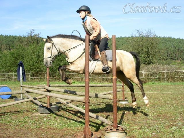 Tereza a Greisy: i větší skoky začíná Tereza skákat bez držení se sedla