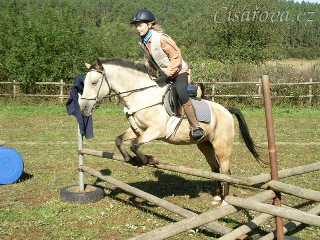 Tereza a Greisy: i větší skoky začíná Tereza skákat bez držení se sedla