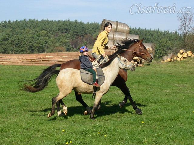 Anča na Greisy na vyjížďce ve cvalu