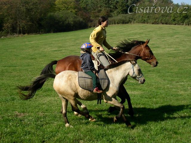 Anča na Greisy na vyjížďce ve cvalu