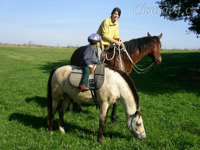 Anča na Greisy na vyjížďce