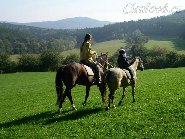 Anča na Greisy na vyjížďce v klusu