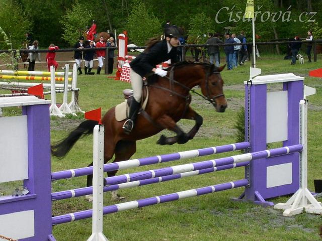 Závody v Herouticích, parkur Z