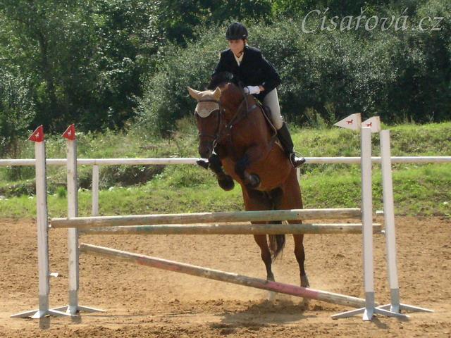 Opracování před parkurem Z